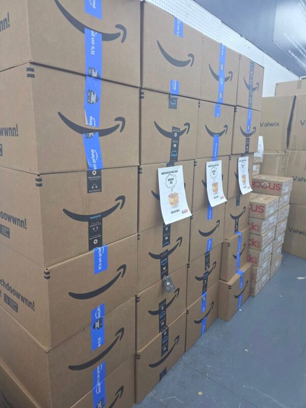 Amazon Mystery Pallets UK