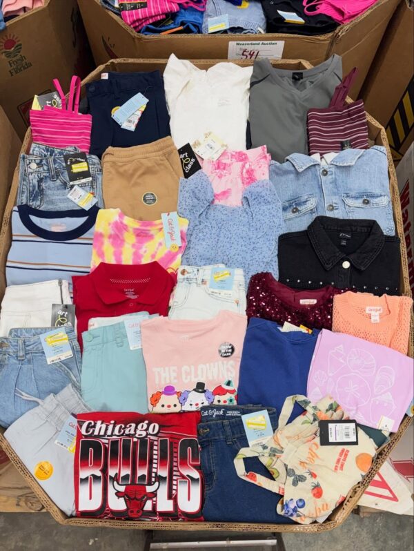 658109347_18321548722252630_3076247639293783102_n.jpg Girls Clothing Pallets (Bulk Wholesale 200+ Pieces)