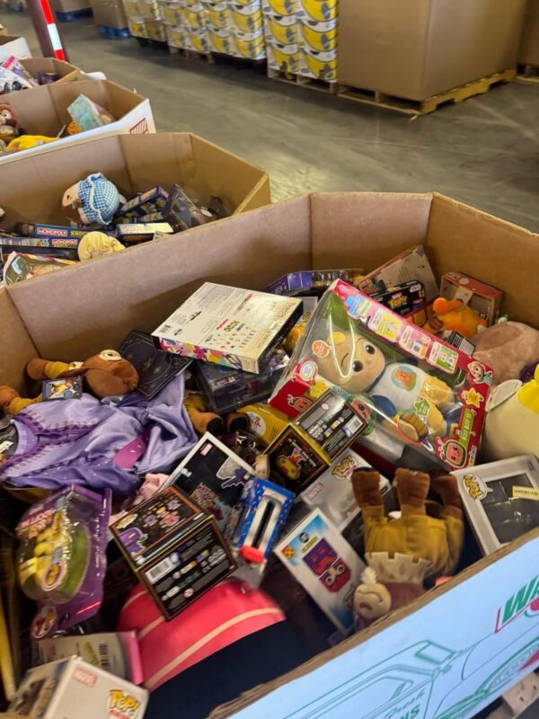 img_1123-3.jpeg Premium Toys Liquidation 500 Pieces Per Pallet