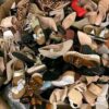 Buy Liquidation Pallets in Edinburgh