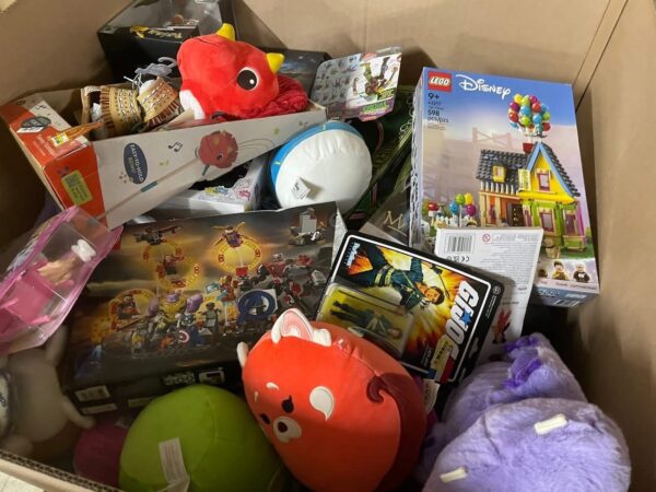 img_8655.jpeg Premium Toys Liquidation 500 Pieces Per Pallet
